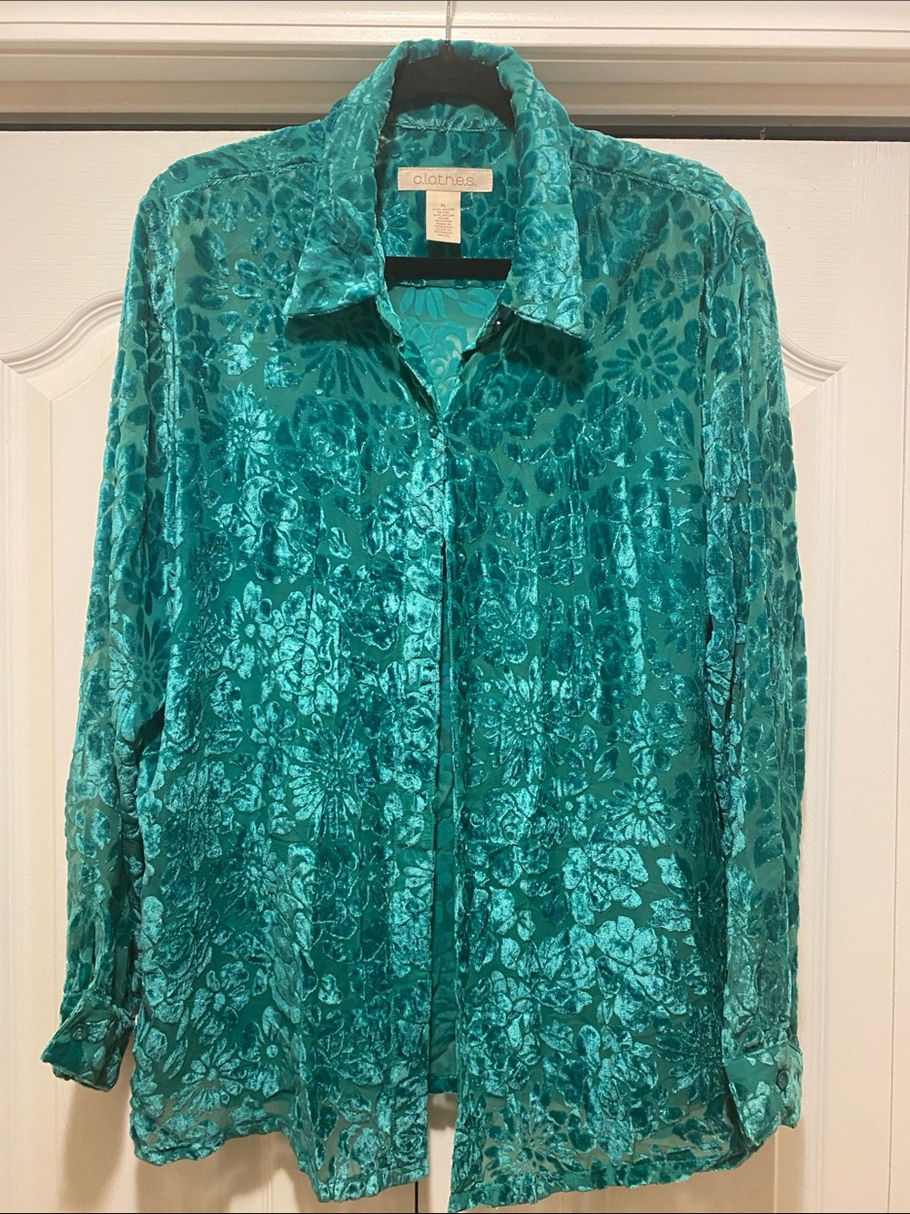 Teal Floral Burnout Velvet Button-Down Shirt